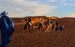 梦见驼子是什么意思